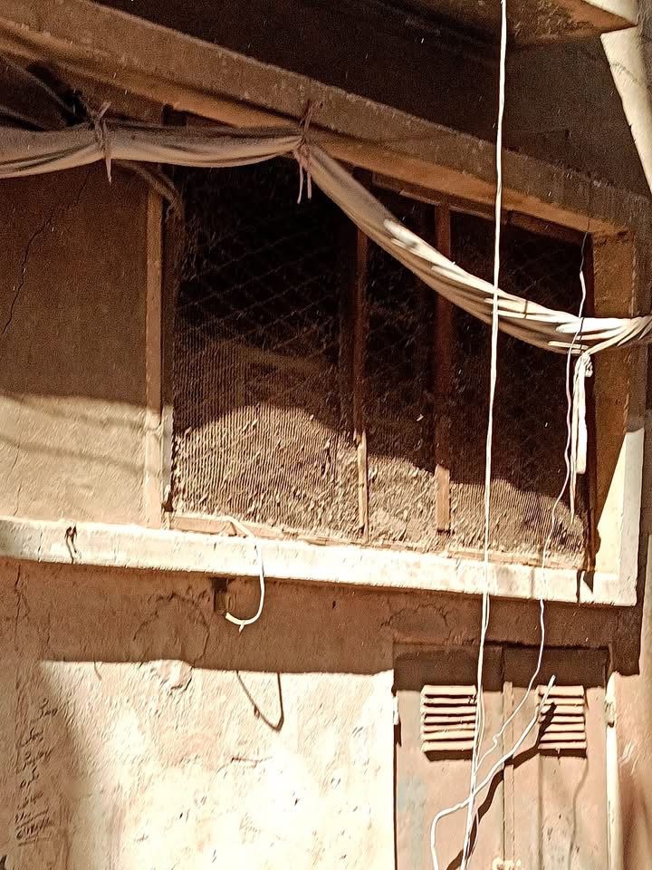 3969ee6a-0d34-480a-81f1-8be1330af1bd