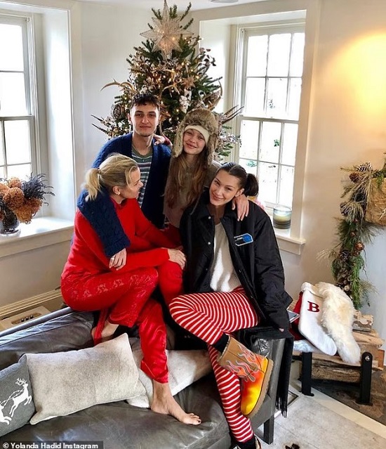 عائلة حديد عائلة حديد