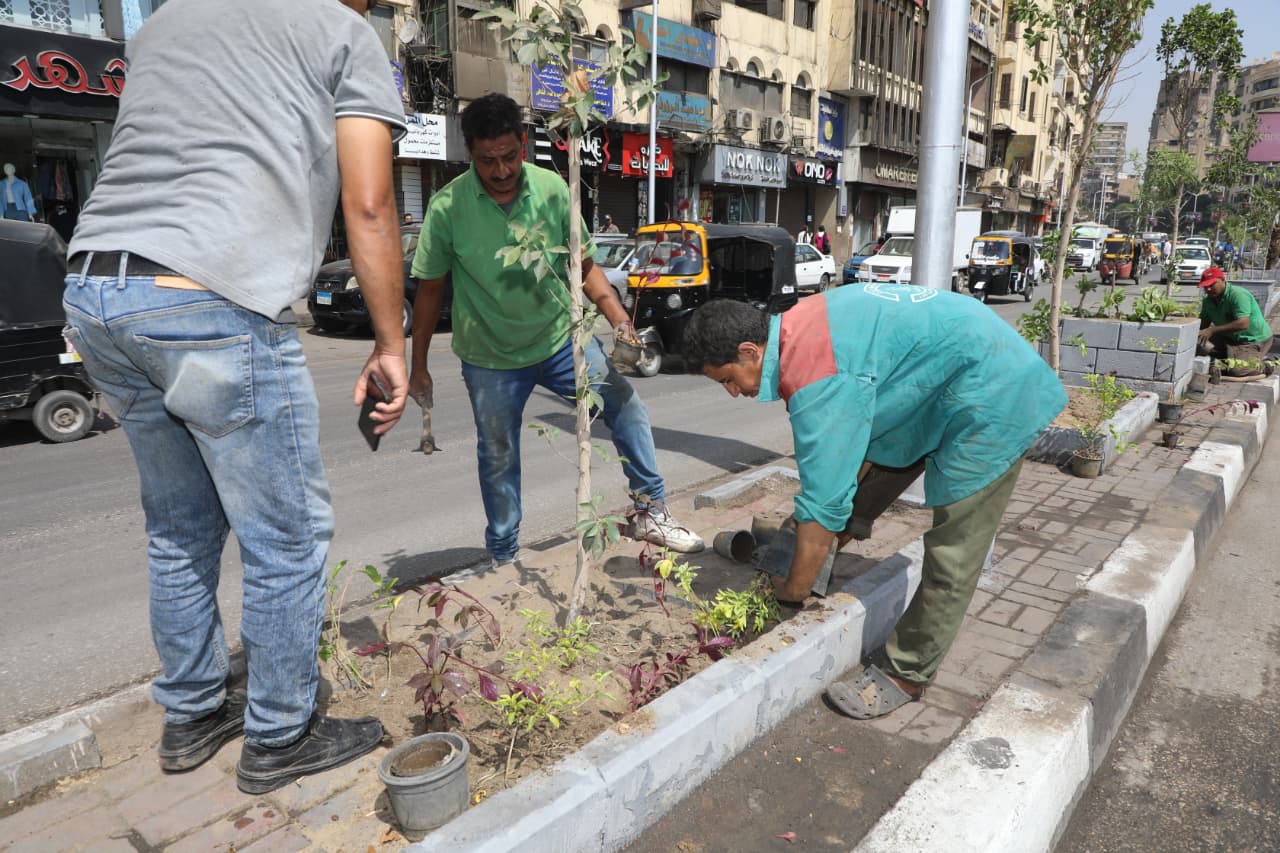 تشجير الشوارع