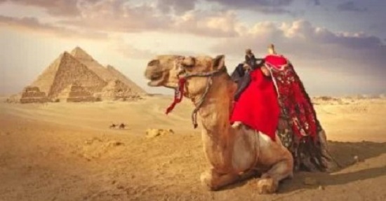 الأهرامات