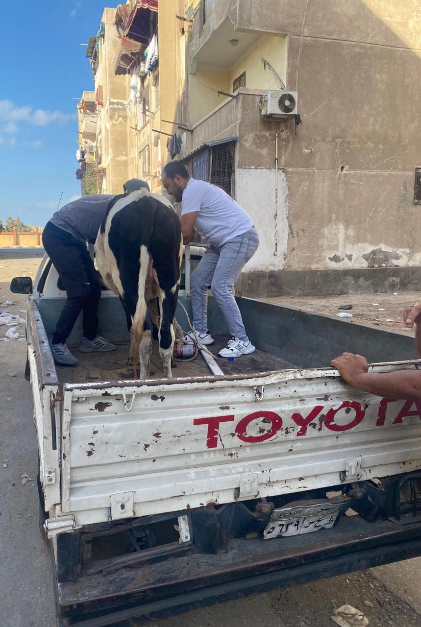 الاجهزة التنفيذية ببورسعيد