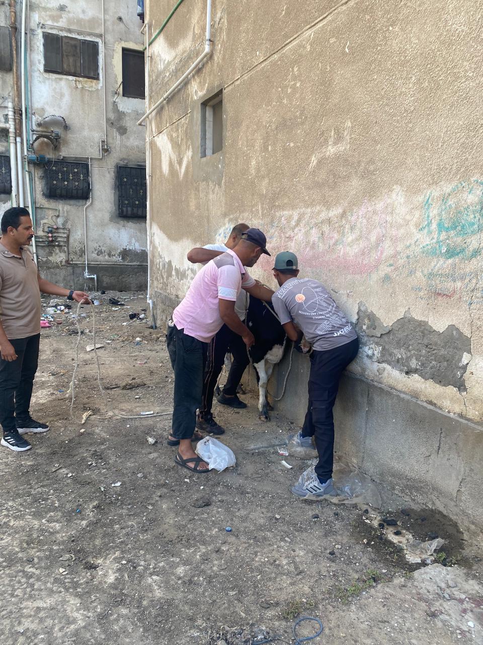 الامساك بالماشية