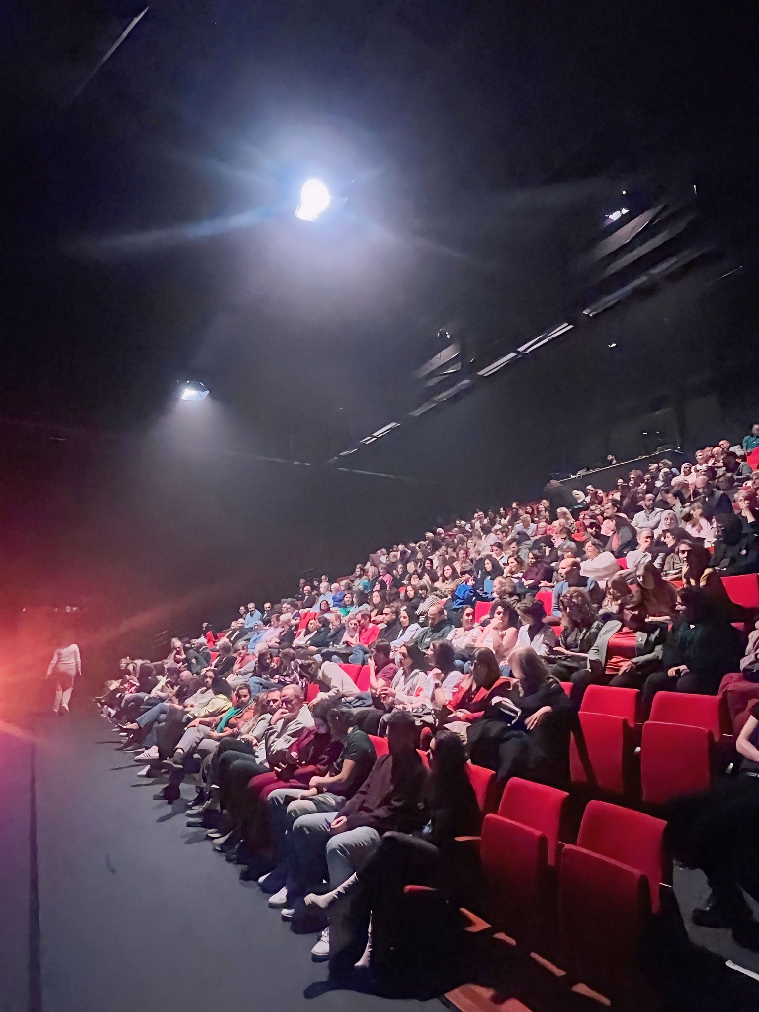 مهرجان هولندا