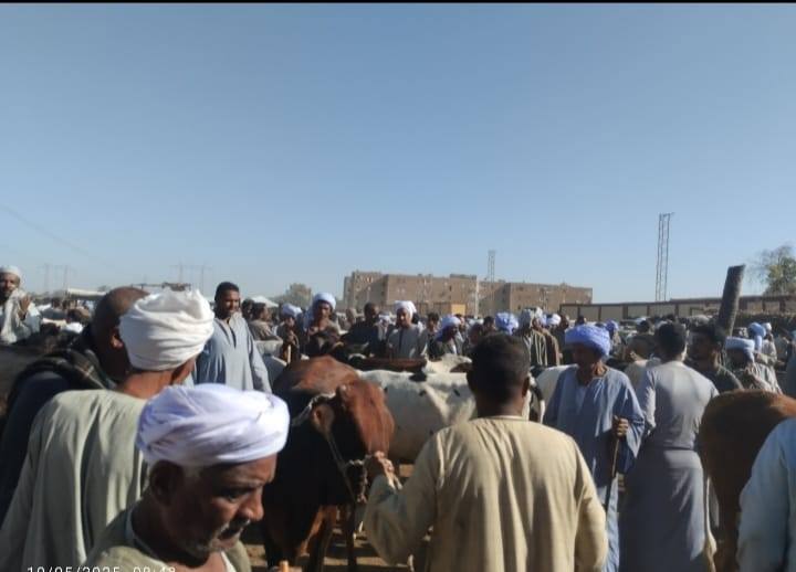 الرقابة على أسواق الماشية بفحصها وتحصينها ضد الأمراض الوبائية