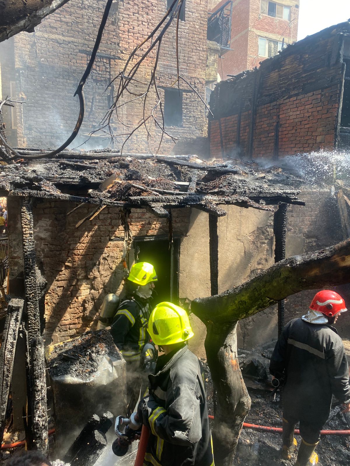 31df4033-cbd5-418d-b50b-c38af7fbc4f5