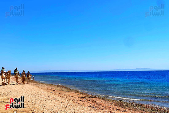 رحلات السفارى فى مدينة دهب (12)