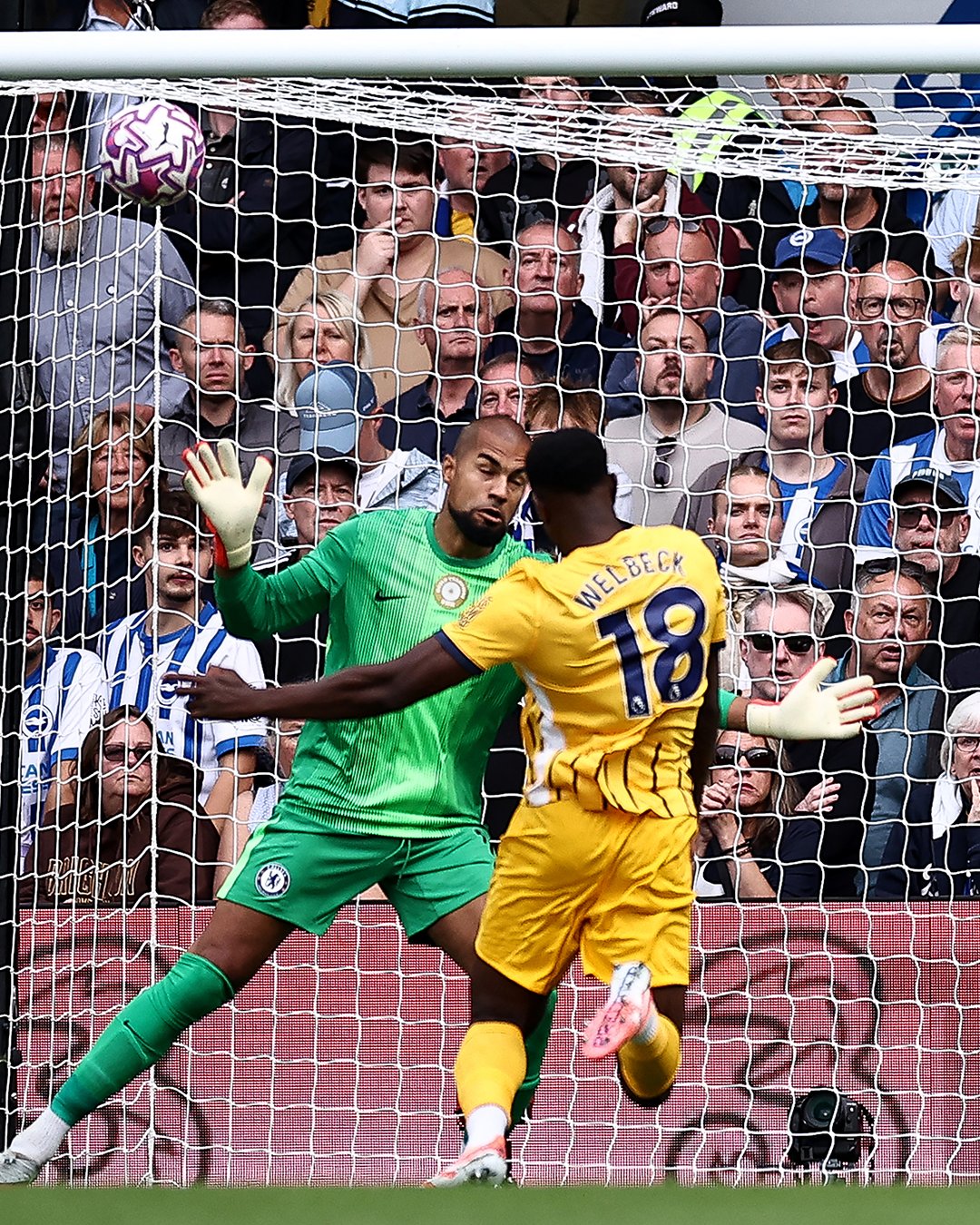 تشيلسي ضد برايتون