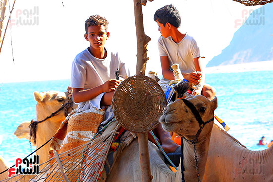 رحلات السفارى فى مدينة دهب (20)