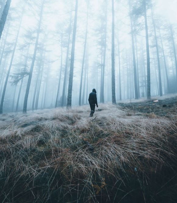 تدرج الألوان