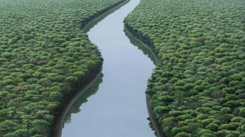 نهر الأمازون