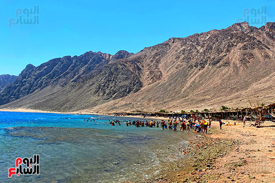 رحلات السفارى فى مدينة دهب (9)