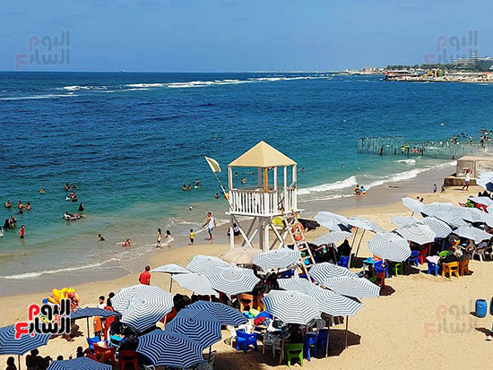 رفع-الراية-الصفراء رفع-الراية-الصفراء