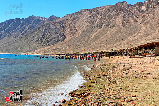 رحلات السفارى فى مدينة دهب (14)