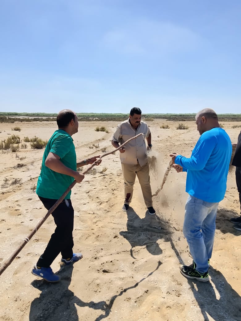 الشباك المخالفة المستخدمة فى صيد الطيور المهاجرة الشباك المخالفة المستخدمة فى صيد الطيور المهاجرة