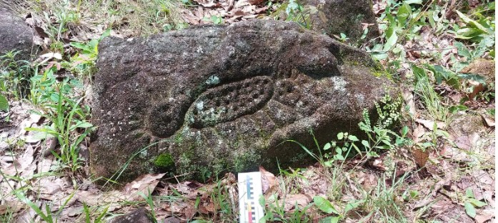 نقوش غامضة فى مركز احتفالى نقوش غامضة فى مركز احتفالى