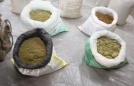 WhatsApp Image 2025-09-29 at 9.51.40 AM