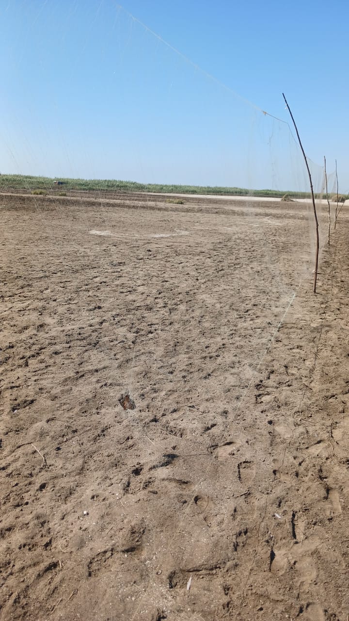 الشباك المخالفة الشباك المخالفة