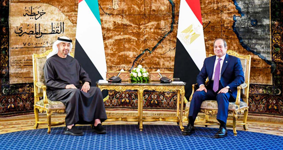 الرئيس السيسى والشيخ محمد بن زايد ال نهيان (6)