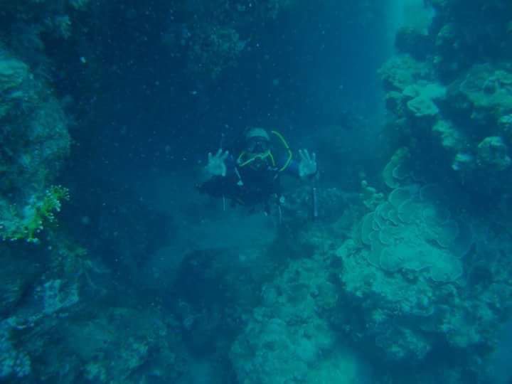 أعماق عرق سمية أعماق عرق سمية