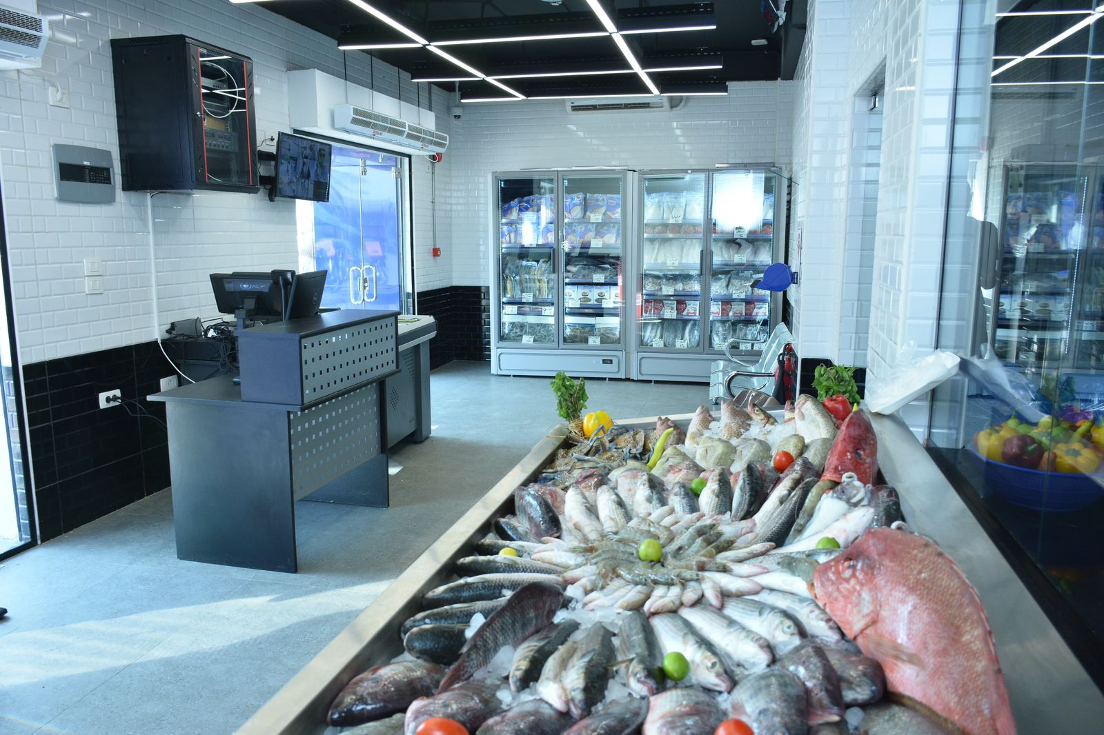 طرح الاسماك واللحوم  بأسعار  تنافسية وبجودة عالية