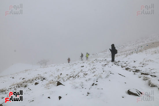 إقبال سياحى كبير إقبال سياحى كبير
