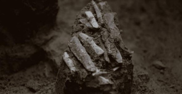 أدوات صياد عمرها 30 ألف عام أدوات صياد عمرها 30 ألف عام