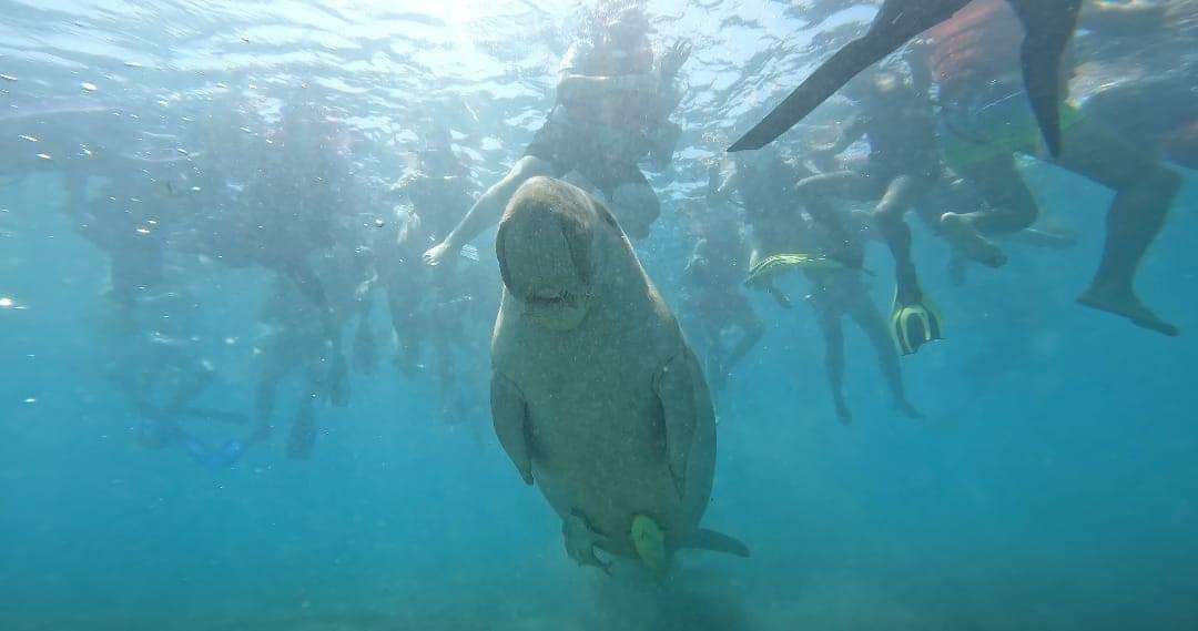 يصل أليه السياح من كل دول العالم يصل أليه السياح من كل دول العالم