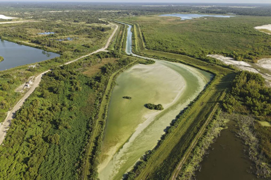 ينابيع فلوريدا التي كانت نقية في السابق مهددة بالتلوث والتطوير وتغير المناخ (5)