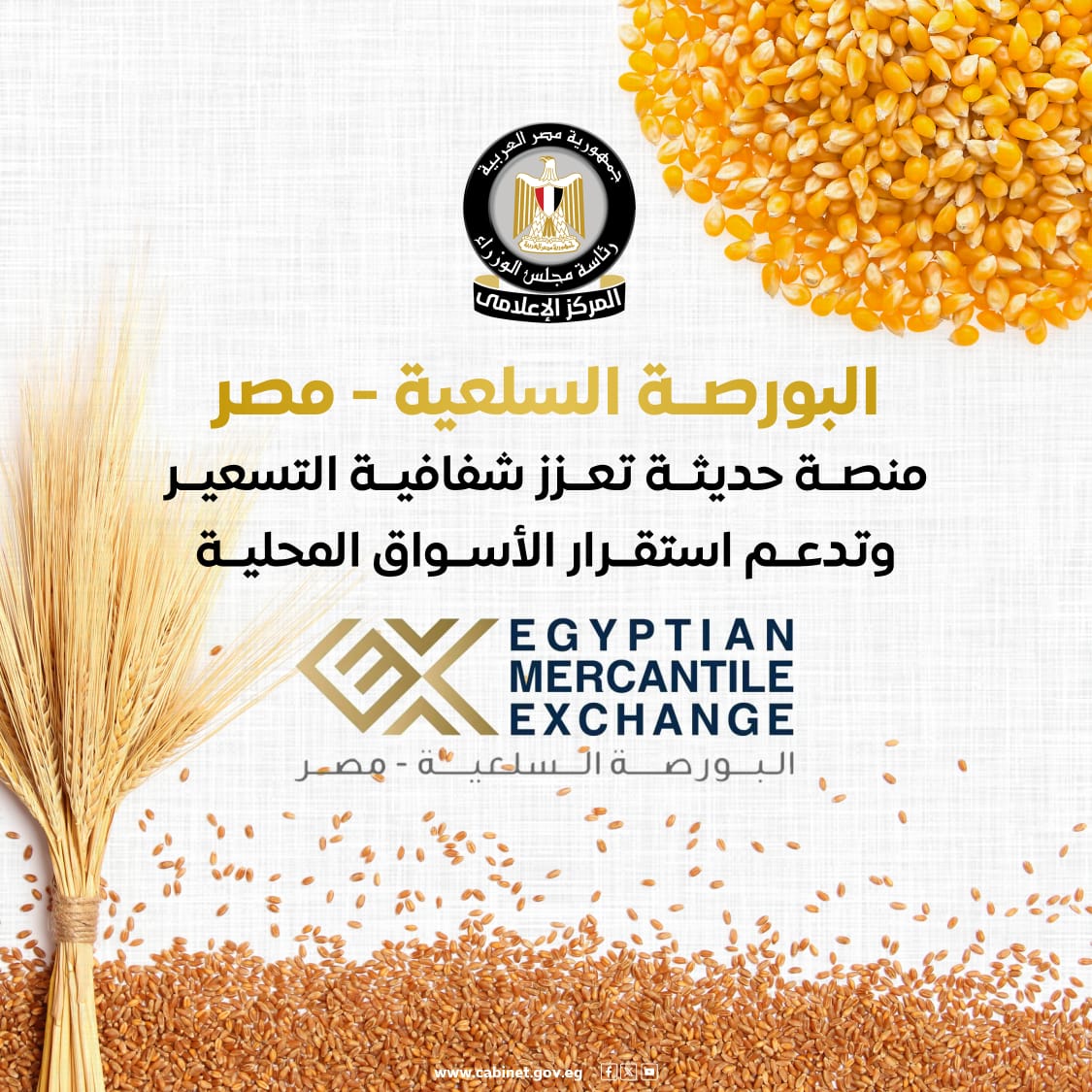 البورصة السلعية - مصر منصة حديثة تعزز شفافية التسعير (3)