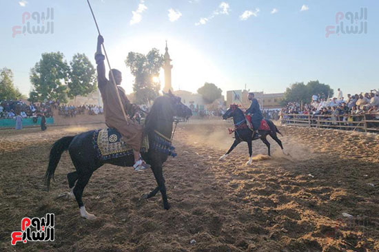 فرحة-عروض-الخيول-احتفالاً-بالمولد-النبوى-الشريف فرحة-عروض-الخيول-احتفالاً-بالمولد-النبوى-الشريف