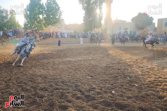 فرحة-الأهالى-بعروض-الخيول-الختامية-في-ليلة-المولد-النبوي-الشريف فرحة-الأهالى-بعروض-الخيول-الختامية-في-ليلة-المولد-النبوي-الشريف