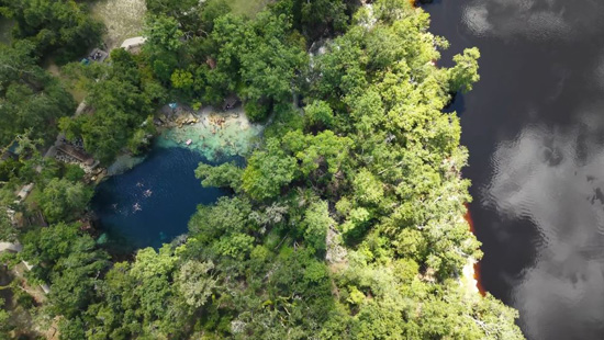 ينابيع فلوريدا التي كانت نقية في السابق مهددة بالتلوث والتطوير وتغير المناخ (4)