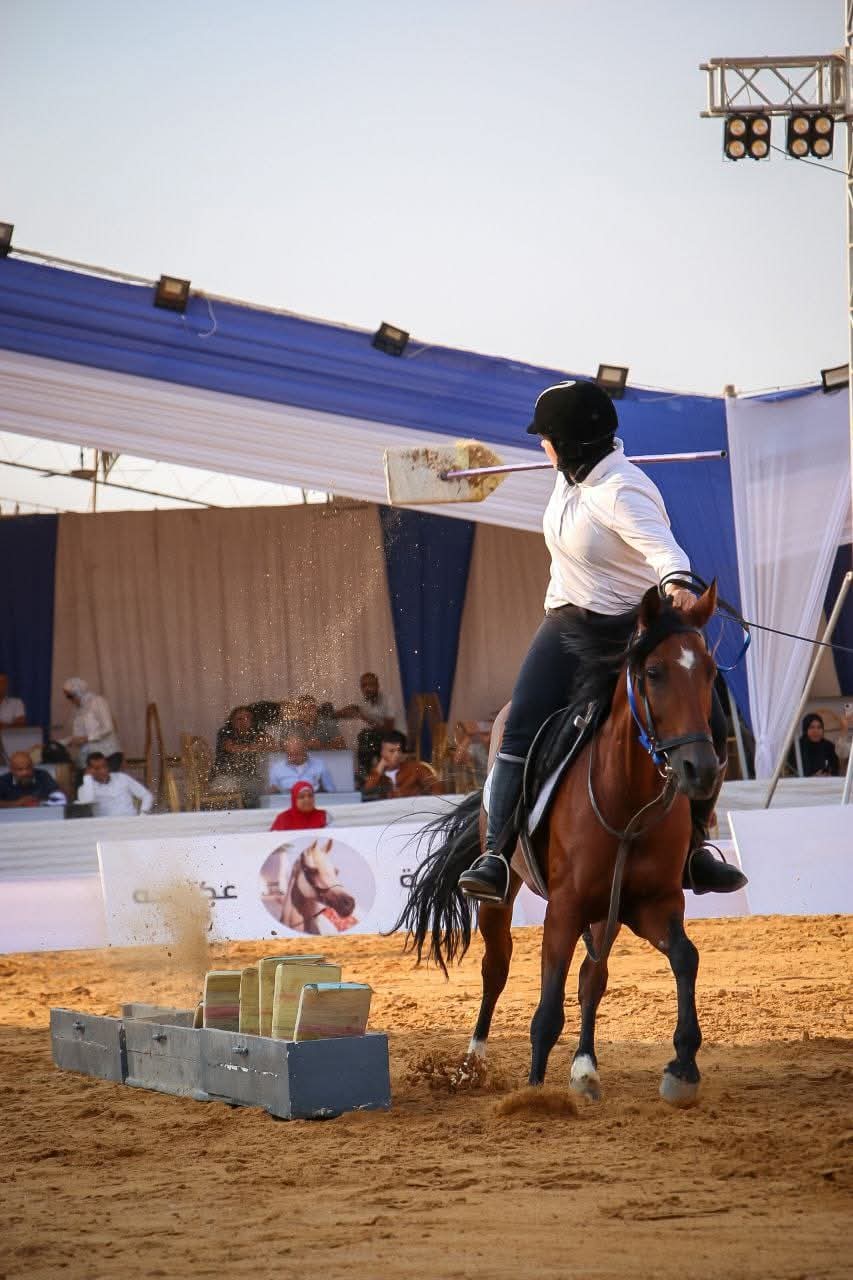 احد الجياد خلال مسابقات دورة ٢٨ احد الجياد خلال مسابقات دورة ٢٨