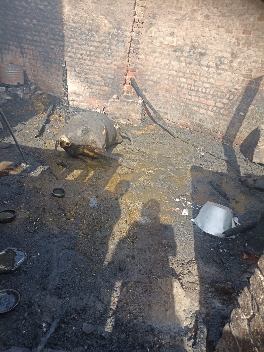 جانب من الحريق