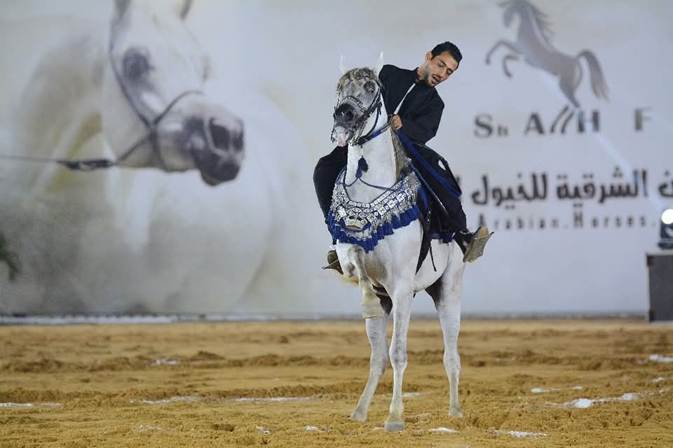 احد متسابقين العام الماضي احد متسابقين العام الماضي