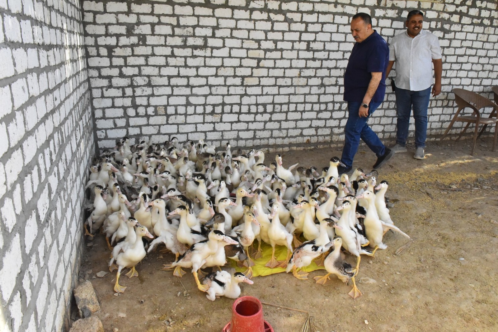 مناطق ومشاريع إقتصادية فى أسيوط تدخل حيز التنفيذ (2)