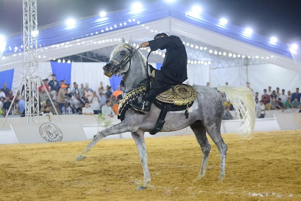 مسابقة ادب الخيل العام 2024 مسابقة ادب الخيل العام 2024