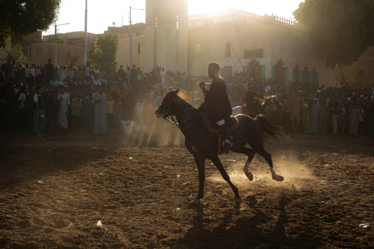 سحر وبهجة الخيول فى ليالي المولد النبوى