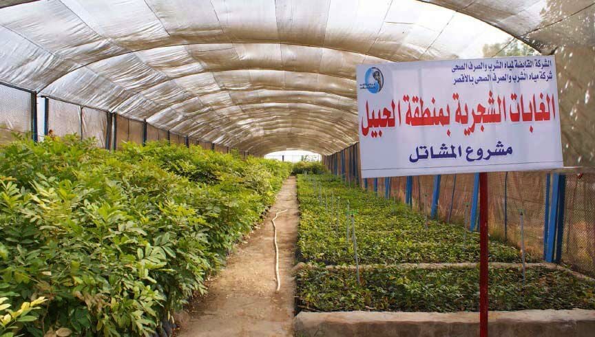 الغابات الشجرية في الحبيل بالأقصر مملكة الخيرات للمحافظة
