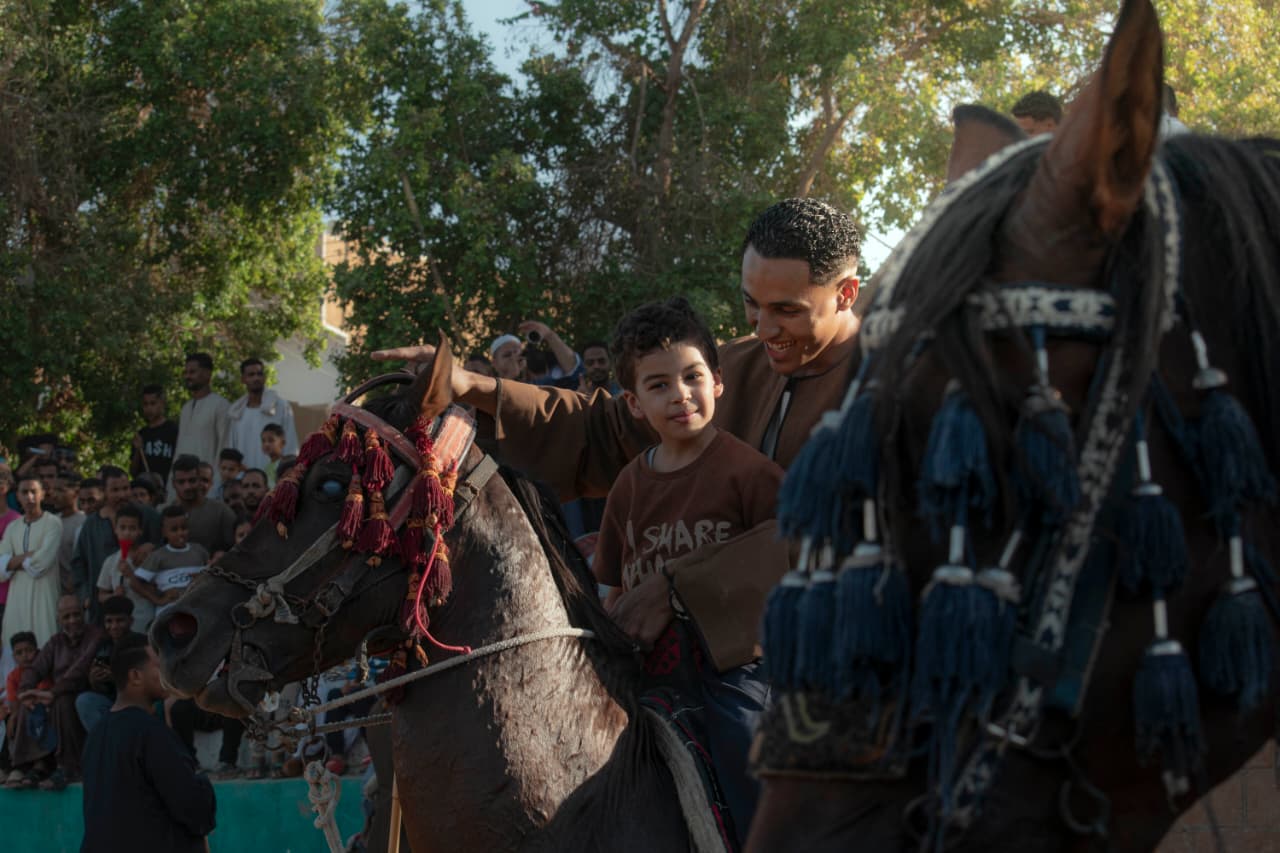 فرحة طفل مع والدة على الخيل فى المولد