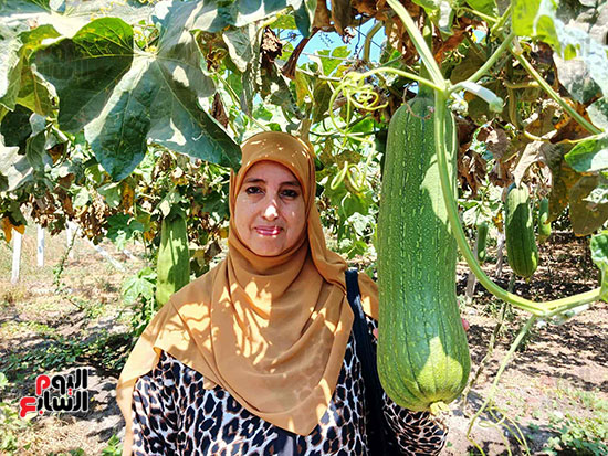 اللوف-يدخل-فى-العديد-من-الصناعات اللوف-يدخل-فى-العديد-من-الصناعات