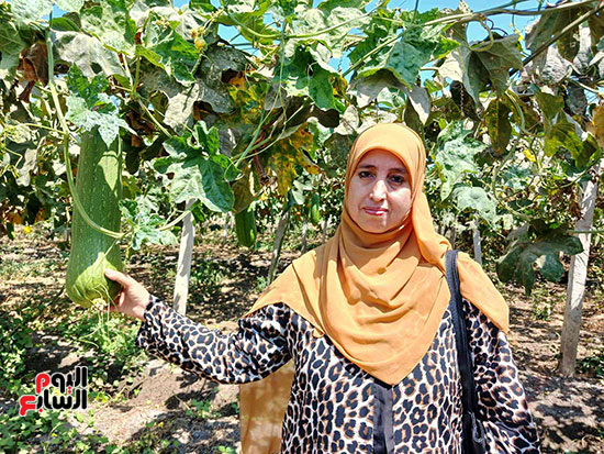 المهندسة-فاطمة-إبراهيم-مدير-الجمعية-الزراعية-بقرية-الزاومل المهندسة-فاطمة-إبراهيم-مدير-الجمعية-الزراعية-بقرية-الزاومل