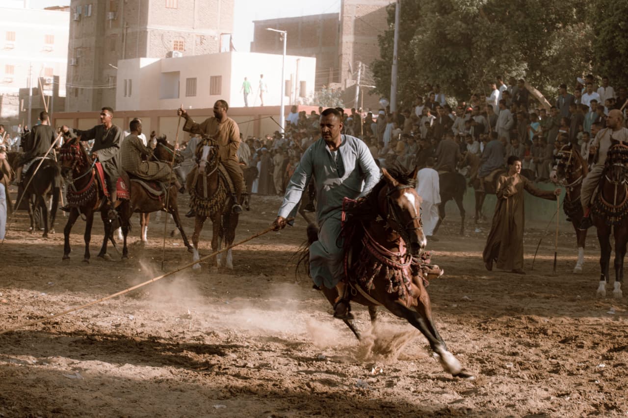 جانب من مرماح الخيول الأخير فى ليلة المولد النبوى