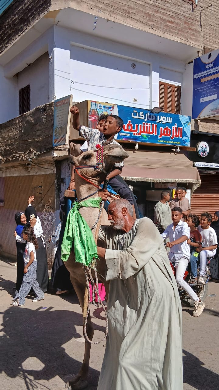 احتفالات أهالي قنا بالمولد النبوي (2)