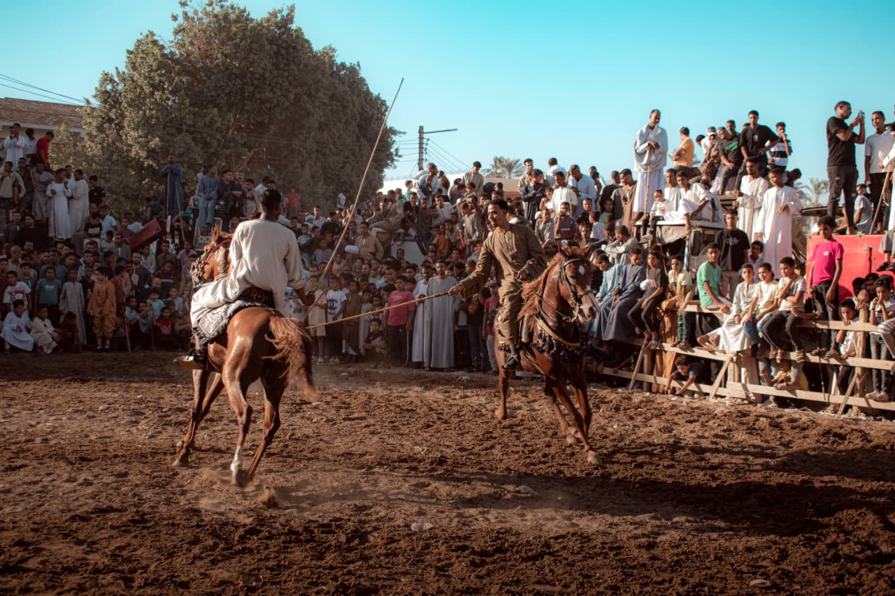 عروض بالخيول فى ليالي المولد النبوى