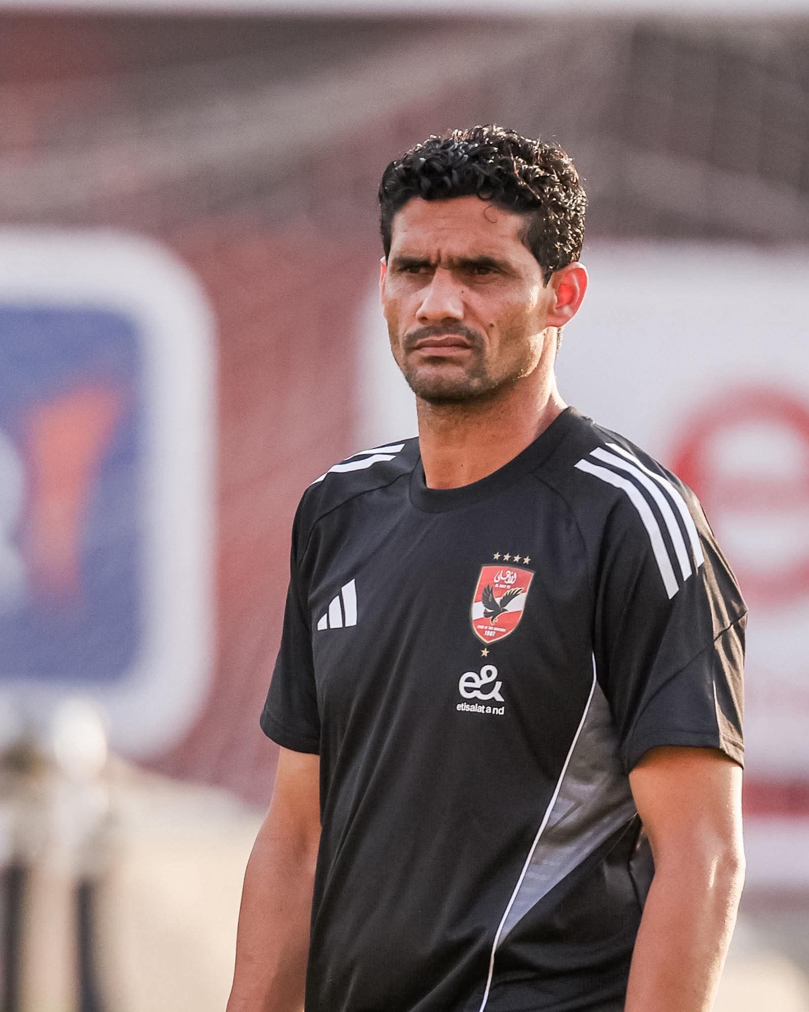 محمد نجيب