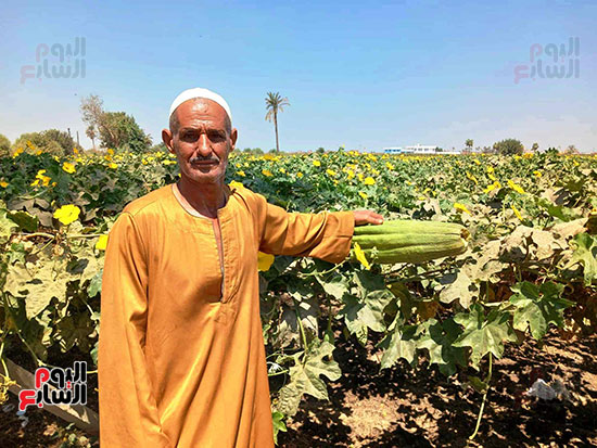 حبيب-محمد-حبيب حبيب-محمد-حبيب