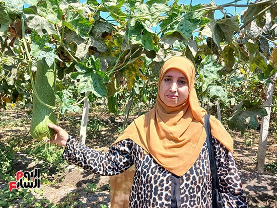 المهندسة-فاطمة-إبراهيم-مدير-الجمعية-الزراعية-بقرية-الزاومل