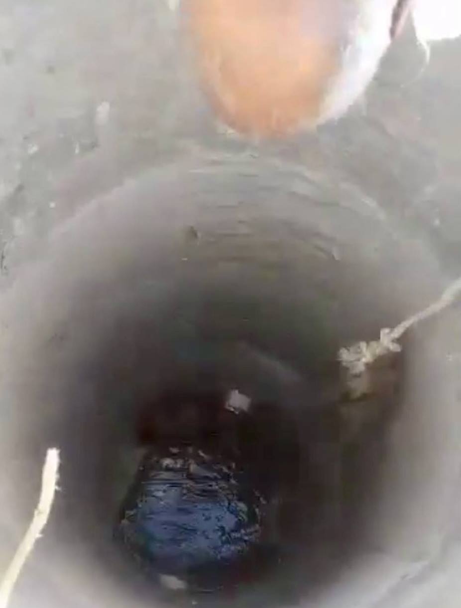 عمق البئر وبداخله الكلب فى قرية الرياينة عمق البئر وبداخله الكلب فى قرية الرياينة