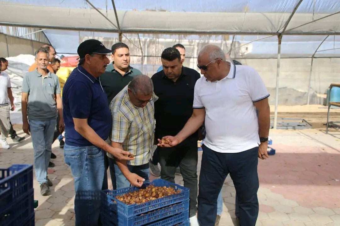 الزملوط يتابع جنى بلح السكرى بالفرافرة الزملوط يتابع جنى بلح السكرى بالفرافرة